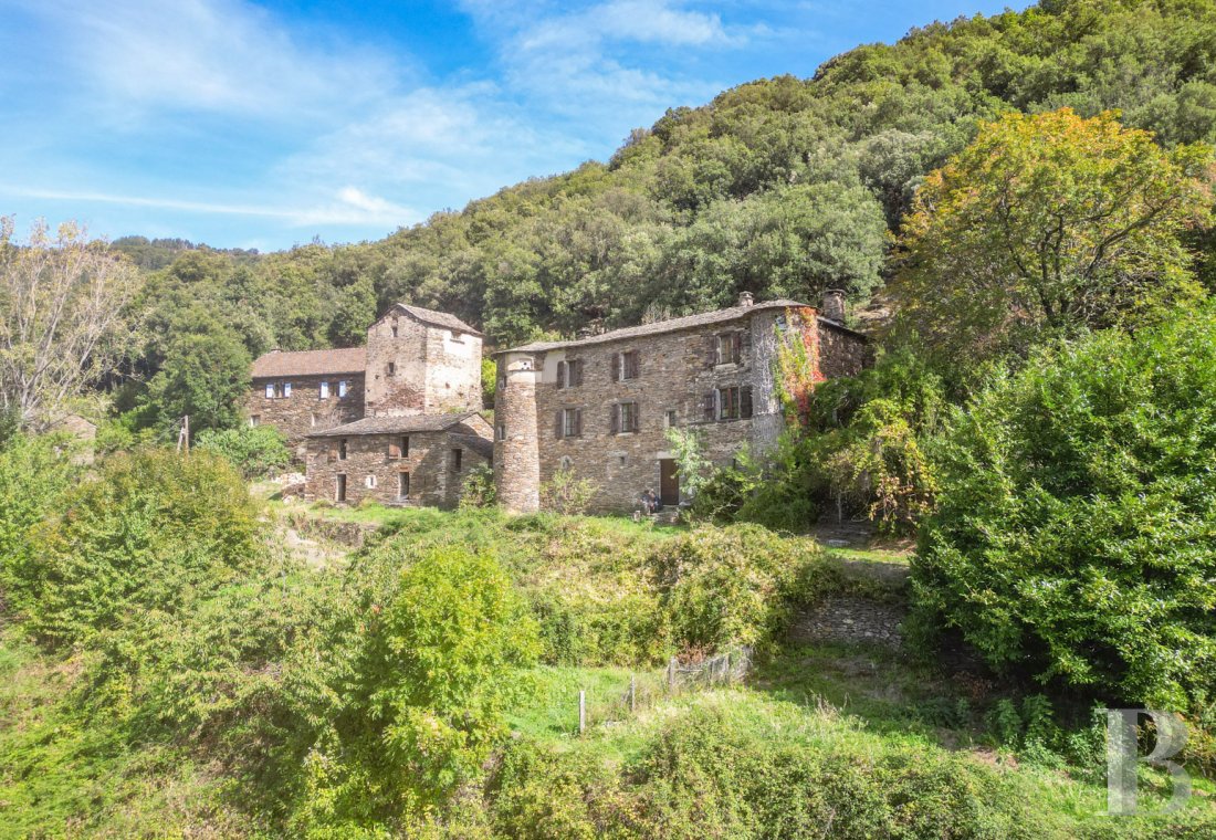 chateaux for sale France languedoc roussillon   - 1