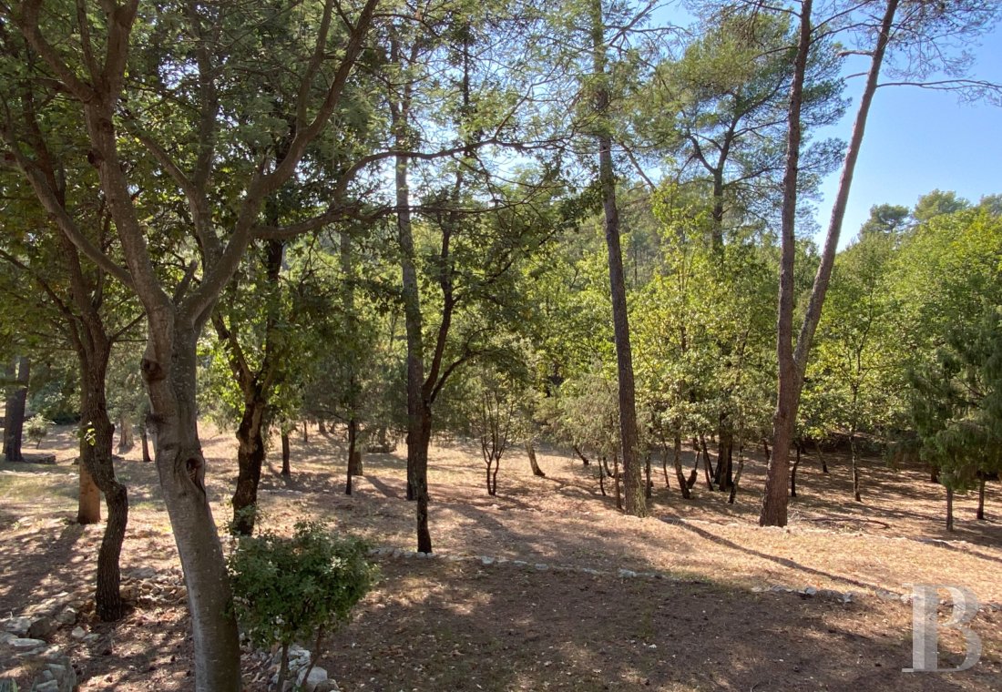 character properties France provence cote dazur   - 11