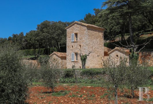 chateaux for sale France provence cote dazur   - 11