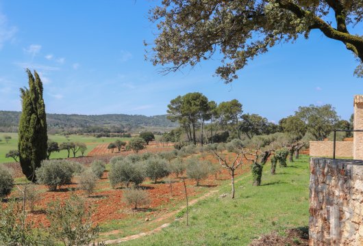 chateaux for sale France provence cote dazur   - 23