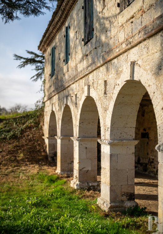 France mansions for sale aquitaine   - 5