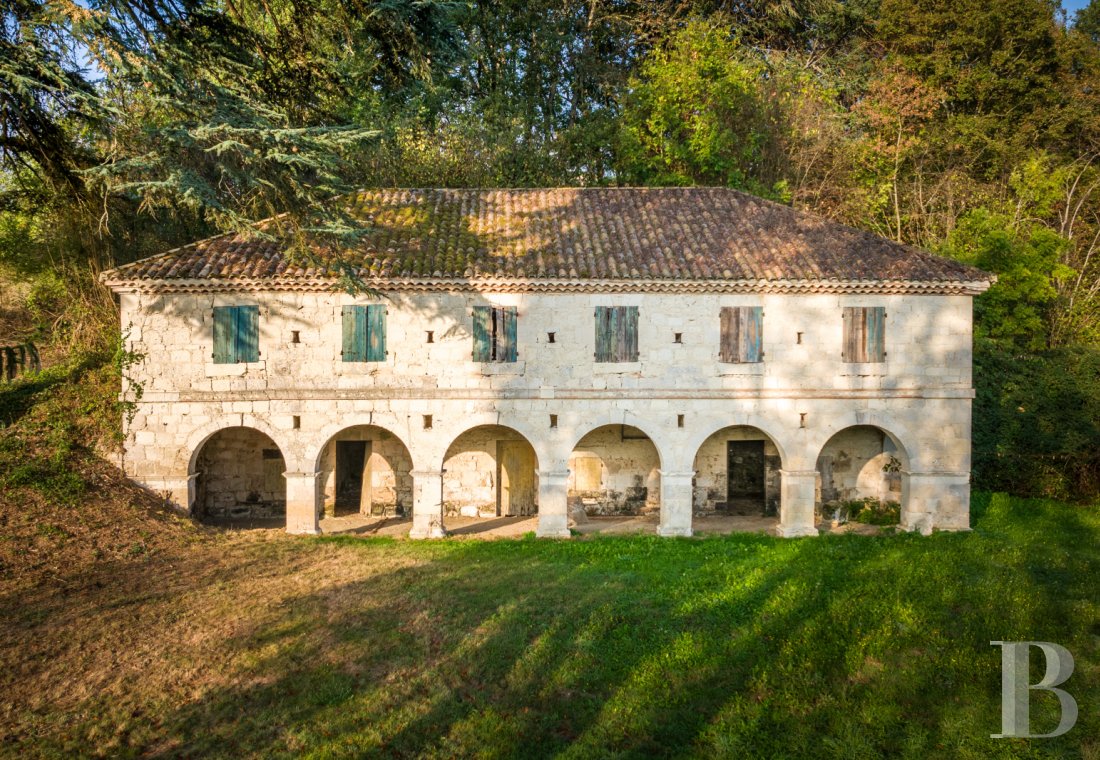 France mansions for sale aquitaine   - 3