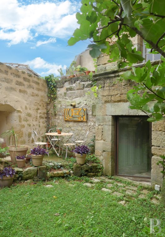 mansion houses for sale France languedoc roussillon   - 22