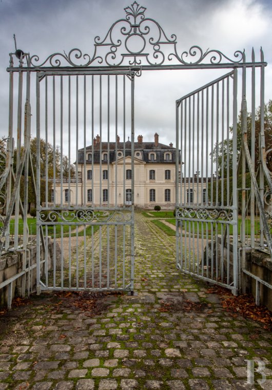 chateaux for sale France ile de france   - 3