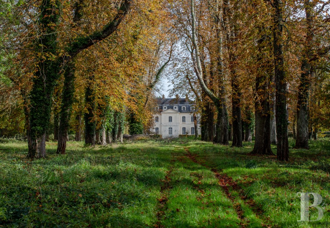 chateaux for sale France ile de france   - 1