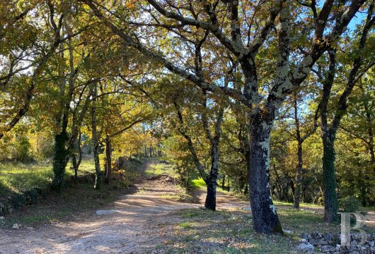 traditional mas house for sale provence cote dazur   - 25