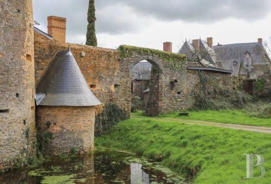 chateaux a vendre pays de loire   - 17