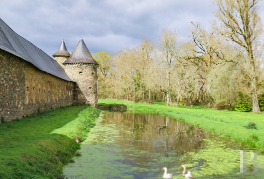 chateaux a vendre pays de loire   - 18