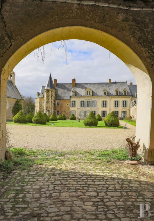 chateaux for sale France pays de loire   - 3