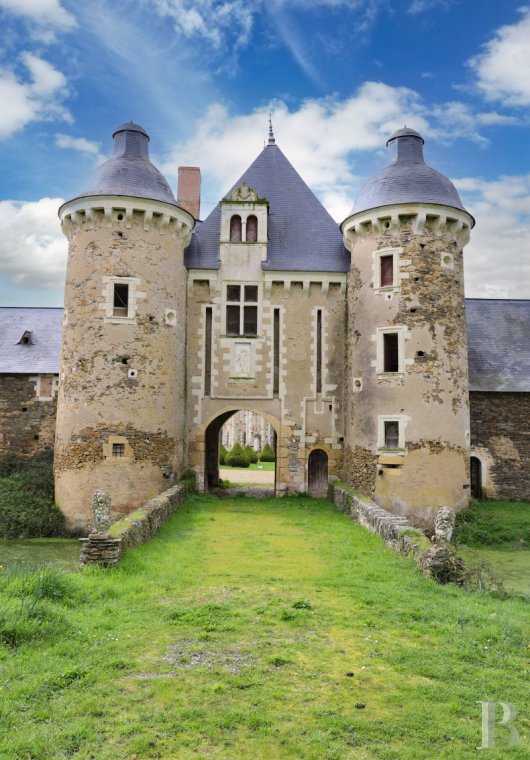 chateaux for sale France pays de loire   - 5