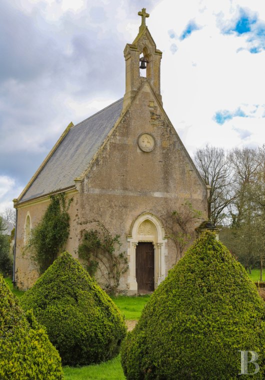 chateaux for sale France pays de loire   - 16