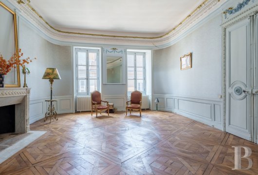 mansion houses for sale France burgundy   - 4