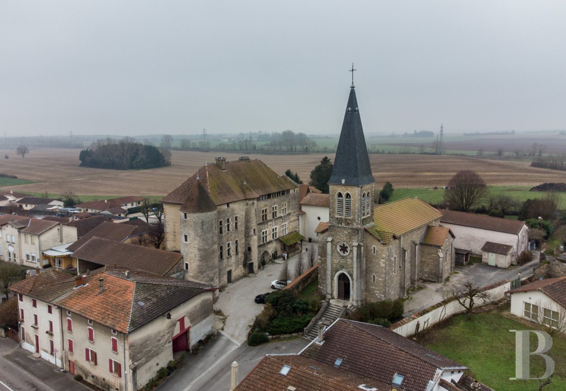 chateaux a vendre rhones alpes   - 18