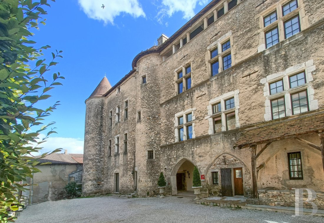 chateaux a vendre rhones alpes   - 1