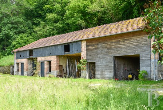 character properties France limousin   - 22