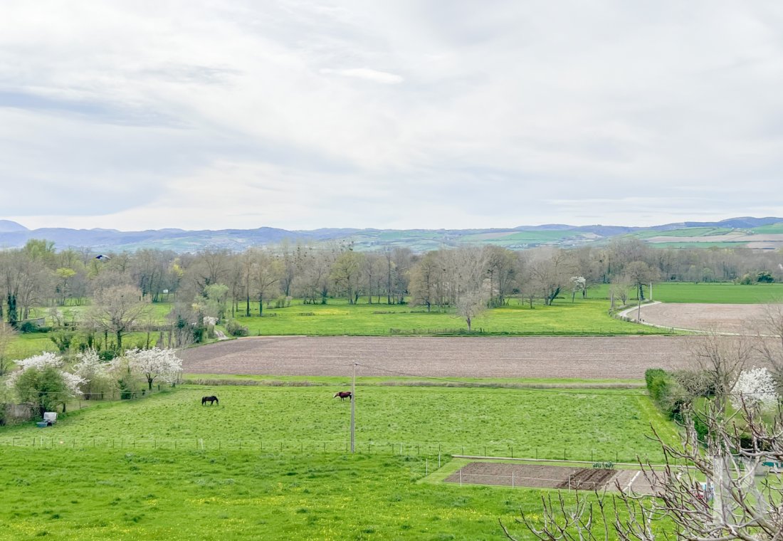 maisons de caractere a vendre auvergne   - 13