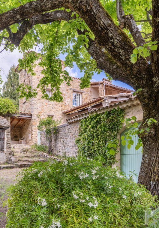 character properties France provence cote dazur   - 3