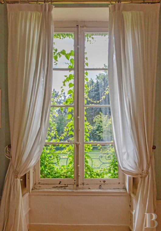 France mansions for sale ile de france   - 13