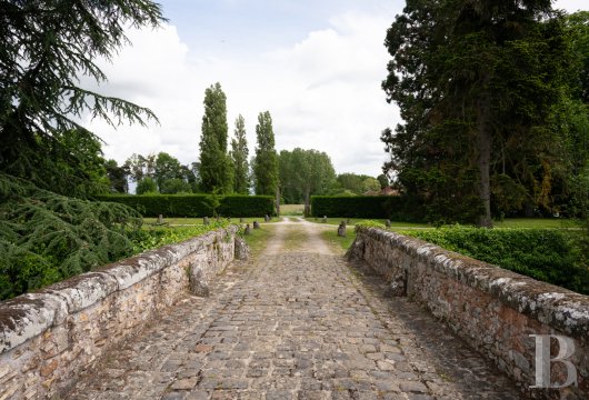 chateaux a vendre ile de france   - 27