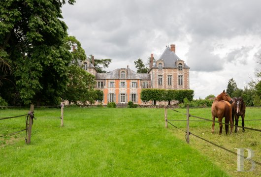 chateaux a vendre ile de france   - 10