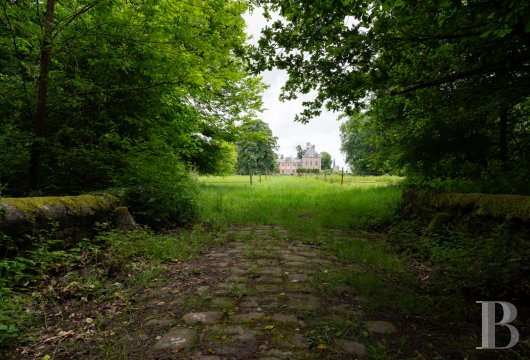 chateaux a vendre ile de france   - 28