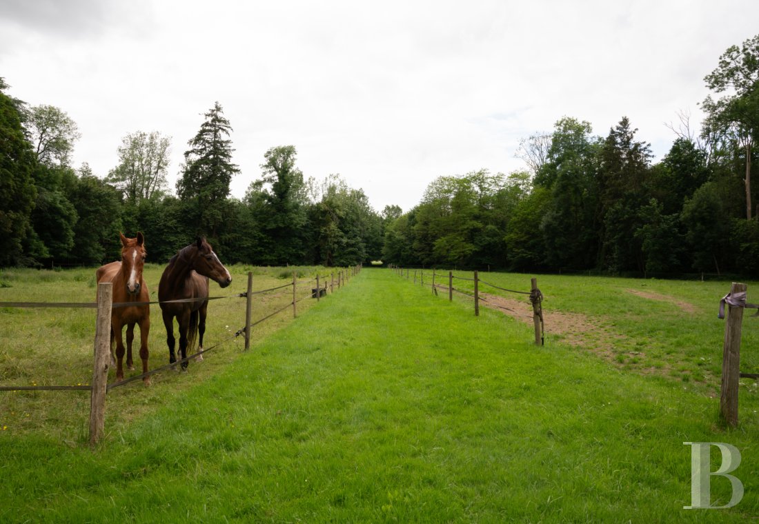 chateaux a vendre ile de france   - 29