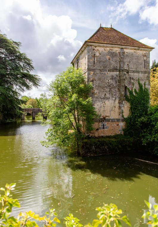 France mansions for sale ile de france   - 19