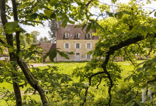 France mansions for sale burgundy   - 4