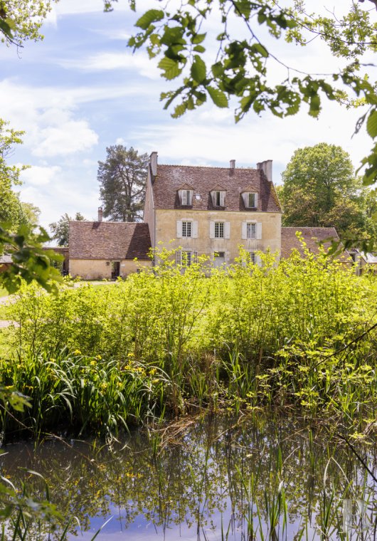 France mansions for sale burgundy   - 3