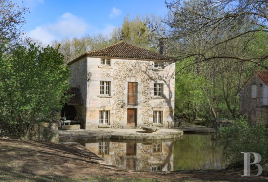 mills for sale France poitou charentes   - 3