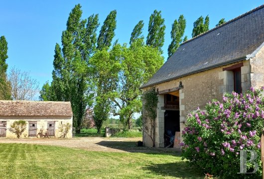 France mansions for sale center val de loire   - 19