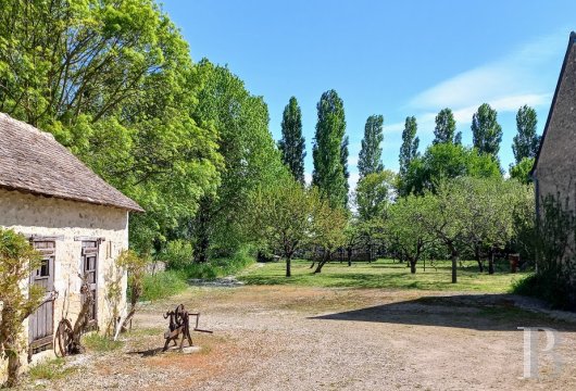 France mansions for sale center val de loire   - 15