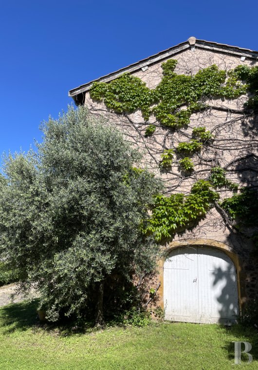 chateaux a vendre rhones alpes   - 11