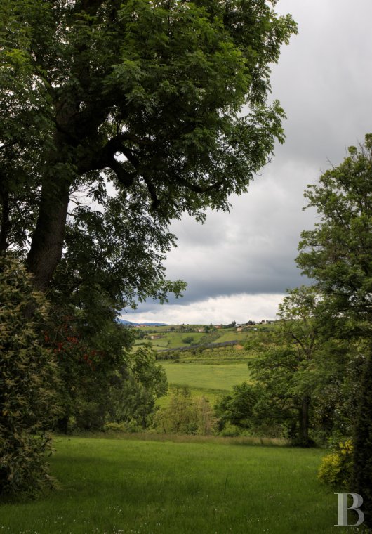 chateaux a vendre rhones alpes   - 18