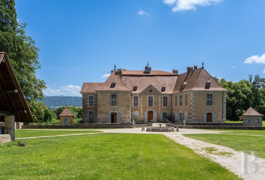 chateaux for sale France rhones alps   - 3