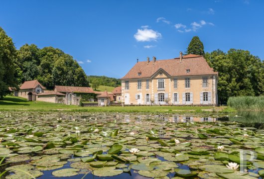 chateaux for sale France rhones alps   - 5