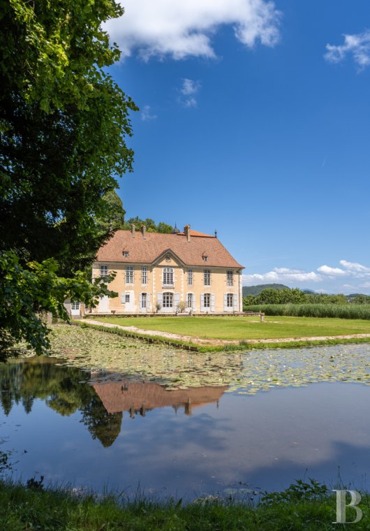 chateaux for sale France rhones alps   - 4