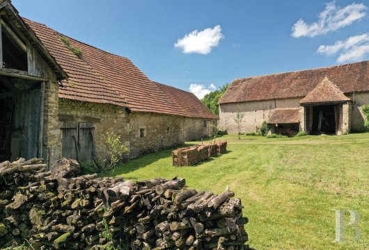 chateaux a vendre auvergne   - 14