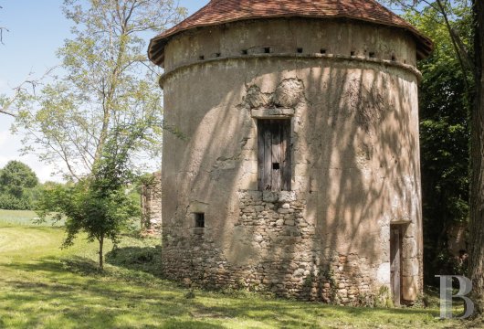 chateaux for sale France auvergne   - 16