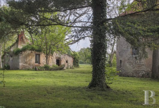 chateaux a vendre auvergne   - 17