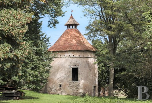 chateaux a vendre auvergne   - 15