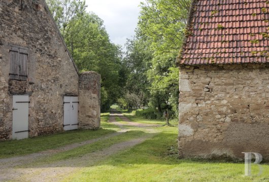 chateaux for sale France auvergne   - 12