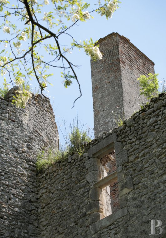 chateaux a vendre auvergne   - 5