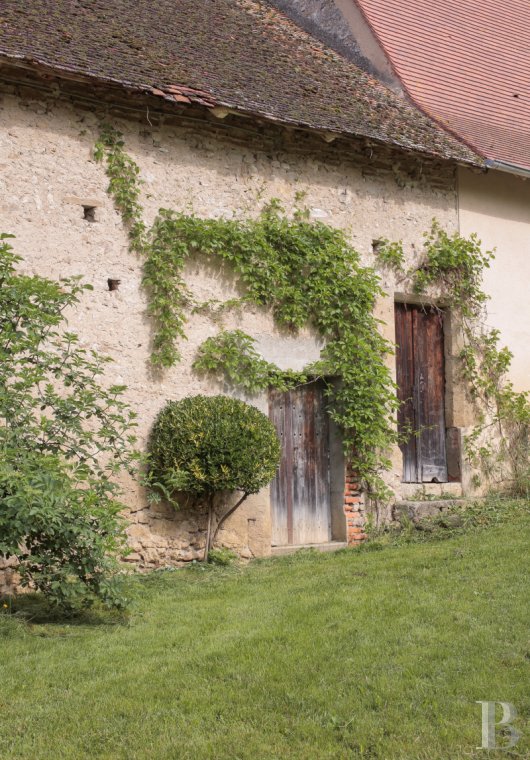 chateaux a vendre auvergne   - 13