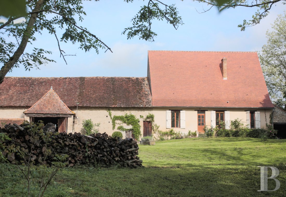 chateaux for sale France auvergne   - 11