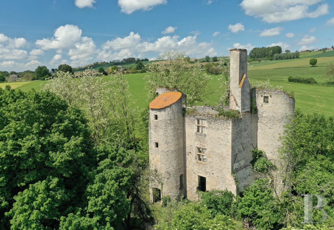 chateaux for sale France auvergne   - 2