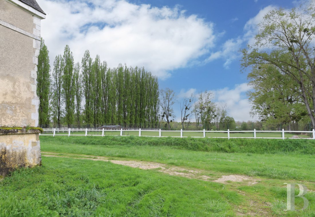 chateaux for sale France center val de loire   - 1