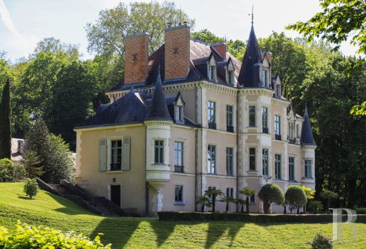 chateaux a vendre pays de loire   - 5