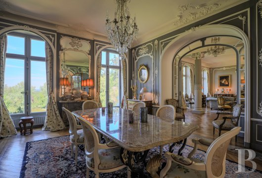 chateaux a vendre pays de loire   - 12