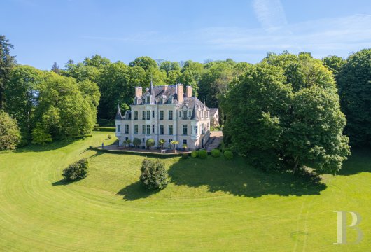 chateaux for sale France pays de loire   - 3